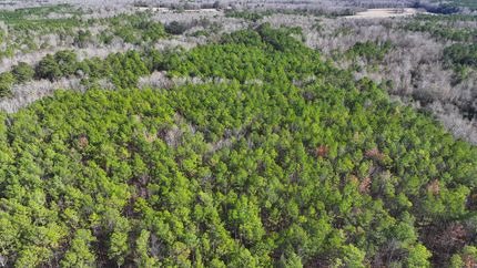 Property in Lowndes County, Mississippi