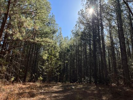 Property in Dinwiddie County, Virginia