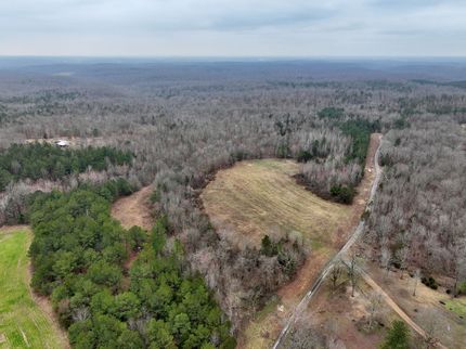 Property in Trigg County, Kentucky