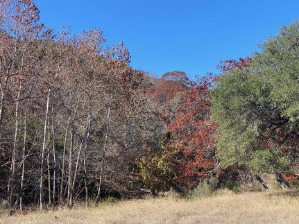 Recreational Property for sale in Gillespie County, Texas