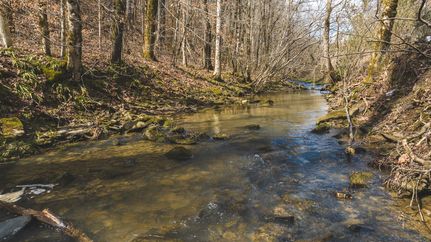 Property in Hawkins County, Tennessee