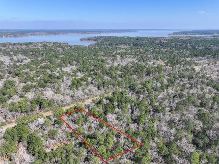 Property in San Jacinto County, Texas