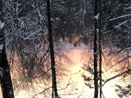 Property in Hampden County, Massachusetts