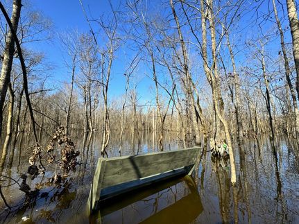 Property in Woodruff County, Arkansas