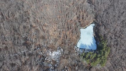 Property in Davis County, Iowa