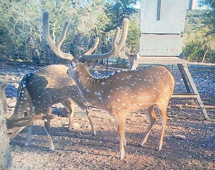 Property for sale in Edwards County, Texas