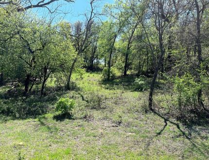 Horse Property for sale in Comanche County, Texas