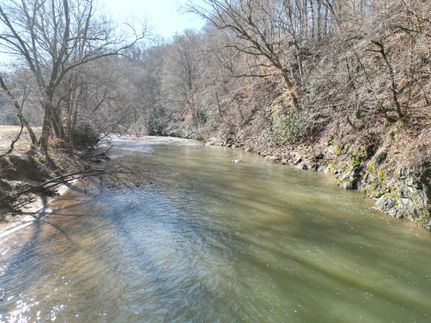 Property in Stokes County, North Carolina