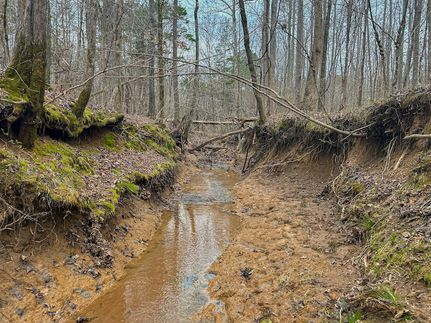 Property in Chickasaw County, Mississippi