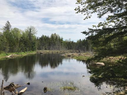 Property in Washington County, Maine