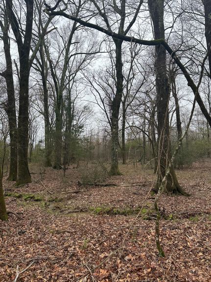 Farm Property for sale in Yazoo County, Mississippi