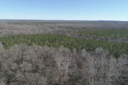 Property in Wilcox County, Alabama