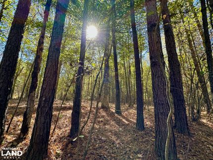 Property in Neshoba County, Mississippi