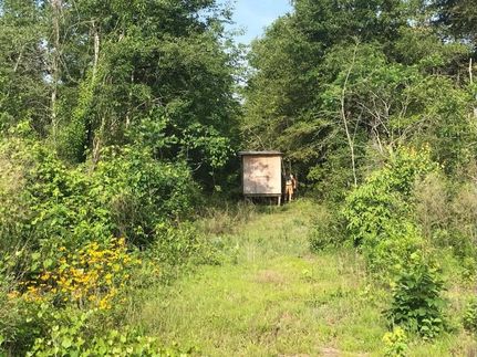 Property in Perry County, Mississippi