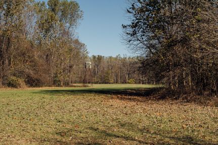 Property in Issaquena County, Mississippi