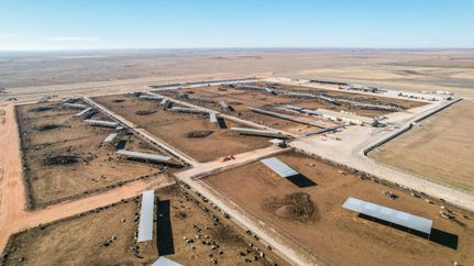 Property in Lamb County, Texas