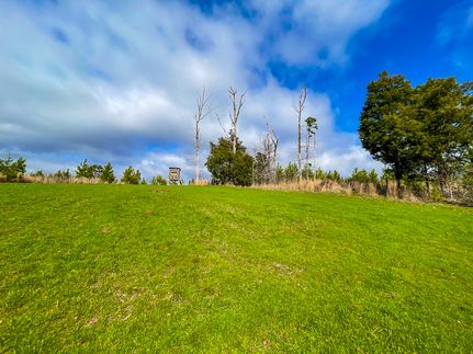 Property in Lauderdale County, Alabama