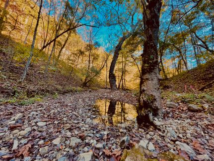 Property in Montgomery County, Missouri