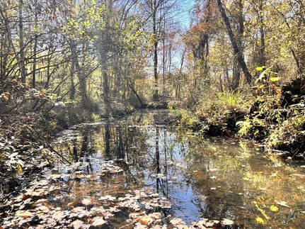 Property in Johnson County, Georgia