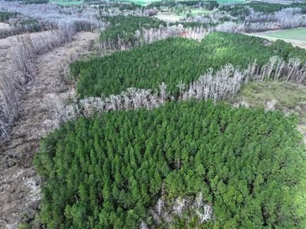 Property in Robeson County, North Carolina