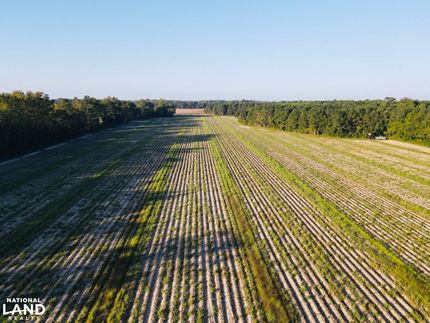 Property in Bladen County, North Carolina