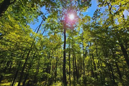 Property in Crow Wing County, Minnesota