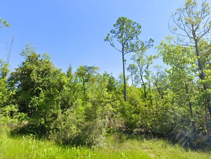 Property in Calhoun County, Florida