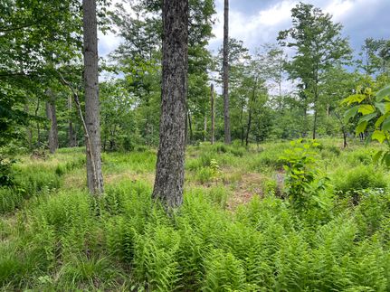 Property in Warren County, Pennsylvania