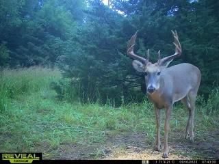 Property in Reno County, Kansas