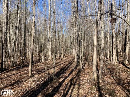 Property in Monroe County, Mississippi