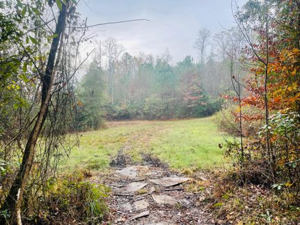 Property in Tuscaloosa County, Alabama