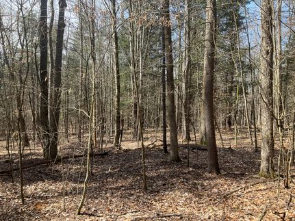 Property in Chenango County, New York