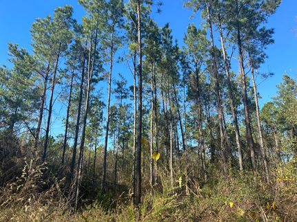 Property in Houston County, Alabama