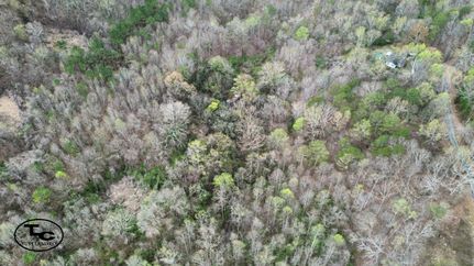 Property in Marshall County, Alabama