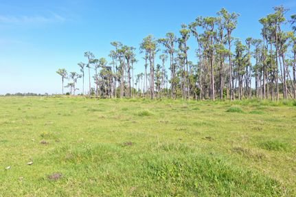 Residential Property for sale in Highlands County, Florida