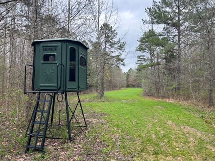 Property in Carroll County, Mississippi