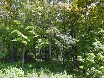 Property in McMinn County, Tennessee