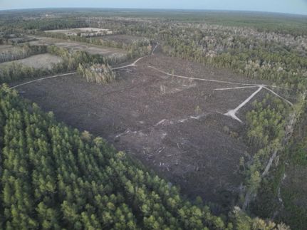 Property for sale in Vernon Parish, Louisiana