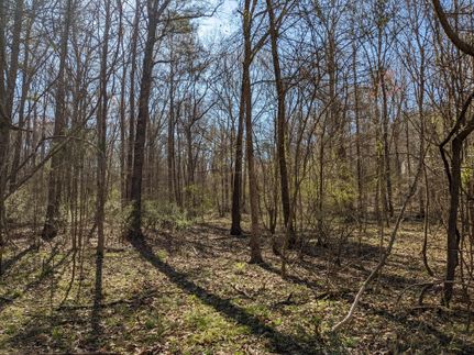 Property in Newberry County, South Carolina