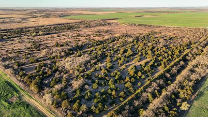 Property in Beckham County, Oklahoma