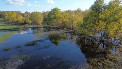 Property in Dallas County, Texas