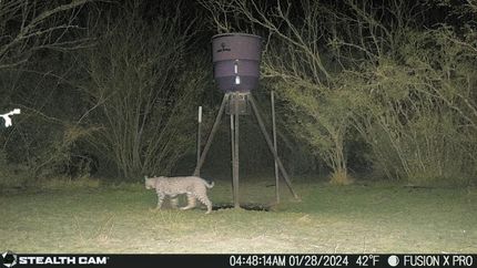 Property in La Salle County, Texas