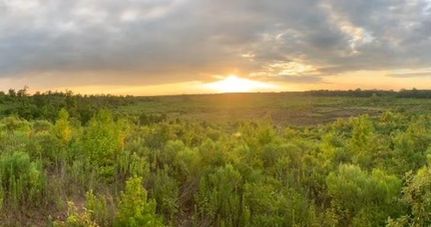 Property in Shelby County, Texas