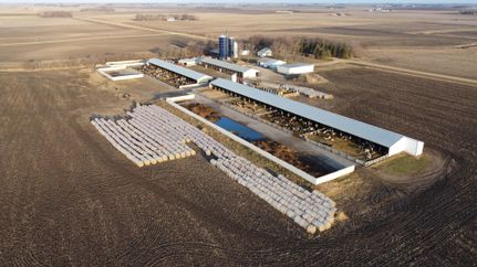 Property in Redwood County, Minnesota