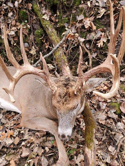 Property in Oconto County, Wisconsin