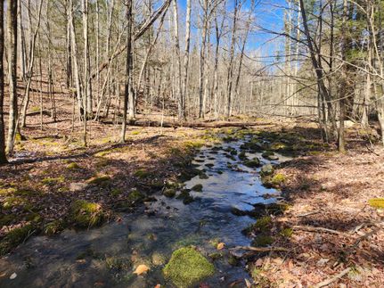 Property in Delaware County, New York