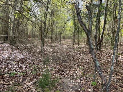 Property in Jackson County, Florida