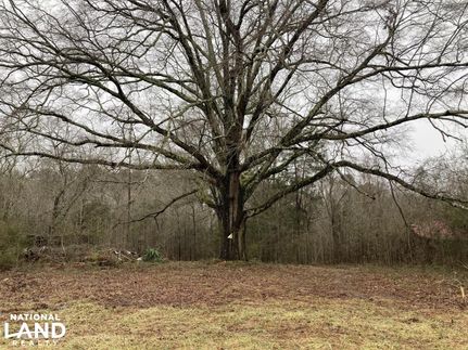 Property in Stanly County, North Carolina