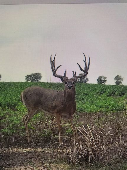 Property in Wilson County, Kansas