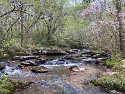Property in Macon County, Alabama